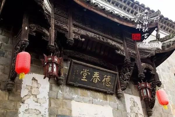 救援淘气的小狗